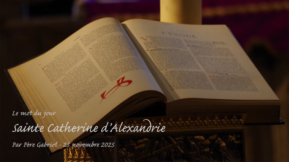 2025 11 25 maquette msg du jour x1920 modifié 2